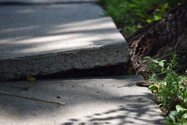 Cost of Sidewalk Leveling in North Port